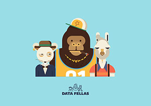Data Fellas